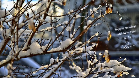 1712_Happy Holidays_widescreen